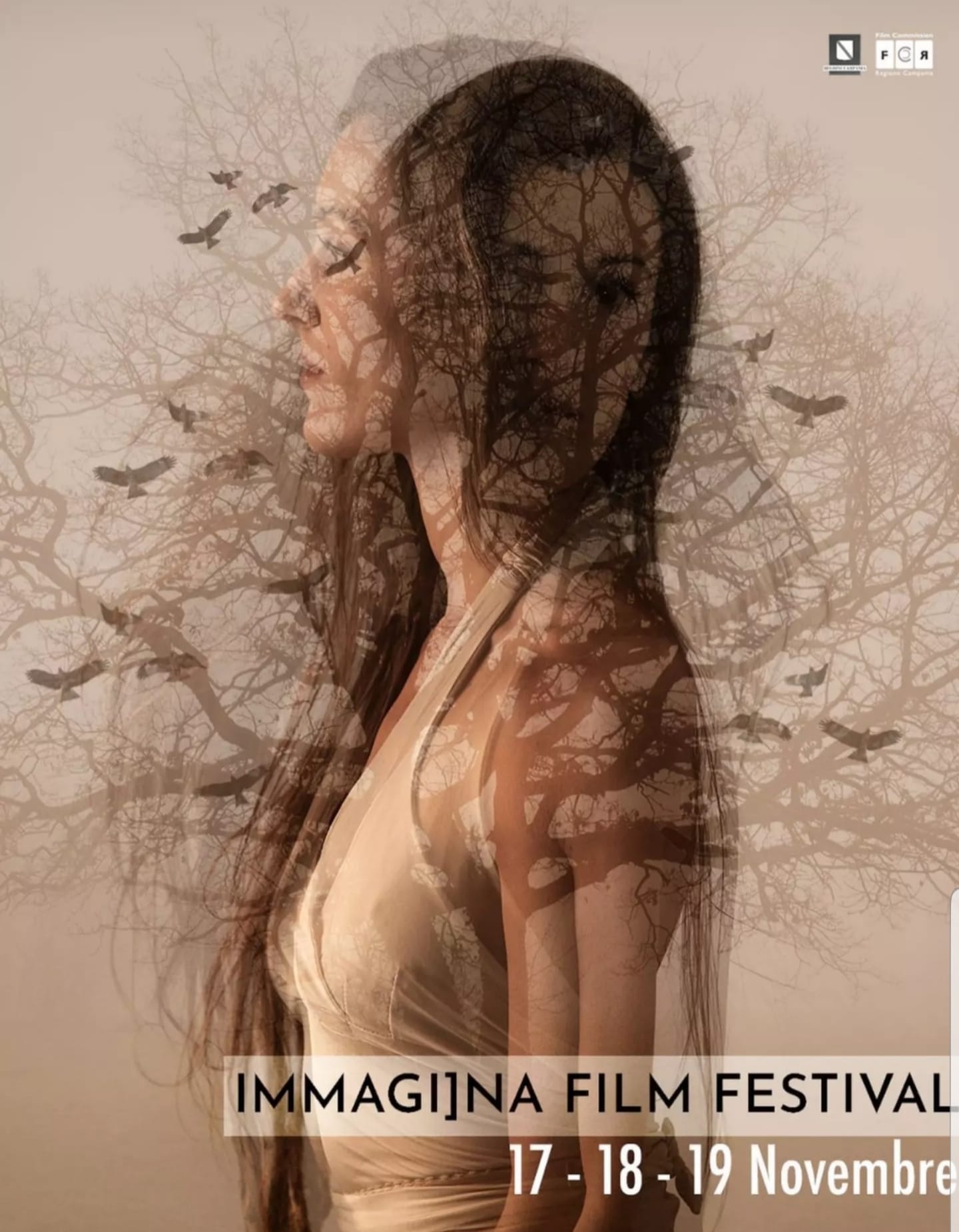 Locandina Immagi]na Film Festival V edizione
