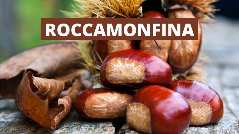 Sagra-della-Castagna-IGP-e-del-Fungo-Porcino-di-Roccamonfina