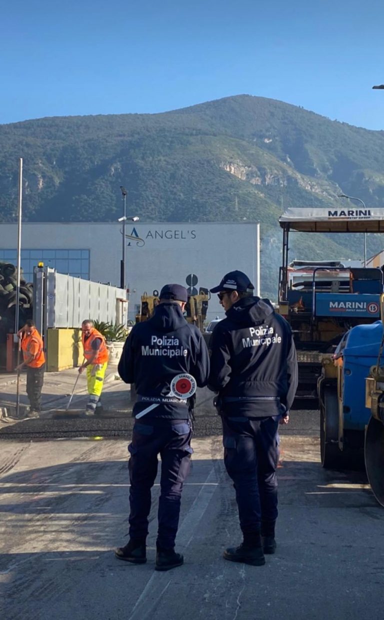 vigili