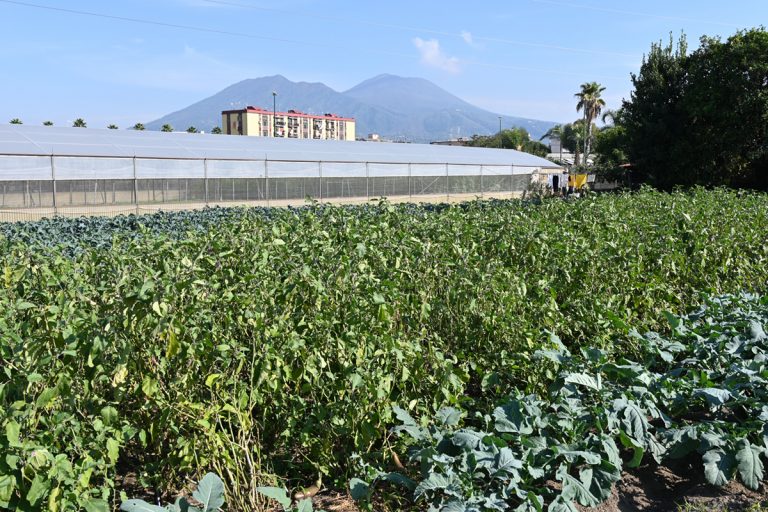 Agricoltura Napoli Est