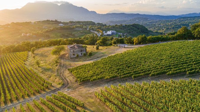panorama vigneti